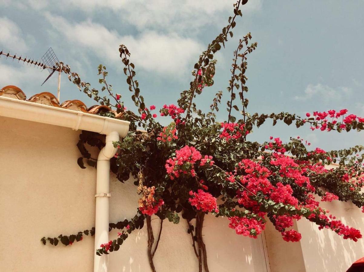 Lovely Apartment Old Town Denia Dış mekan fotoğraf